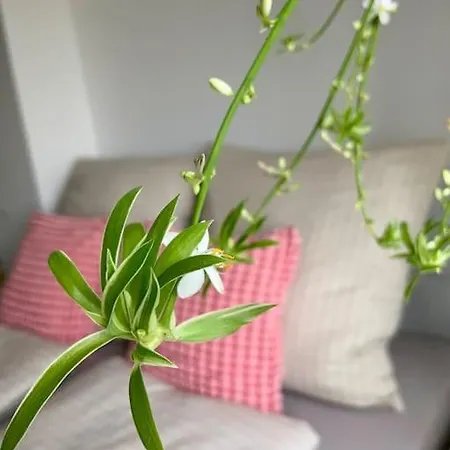 Gemuetliches In Bad Wilhelmshoehe *