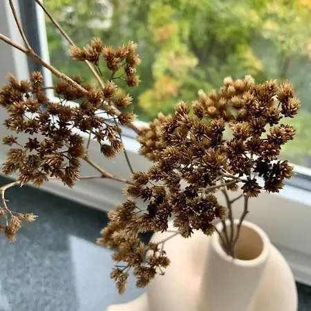 Gemuetliches In Bad Wilhelmshoehe Appartement *