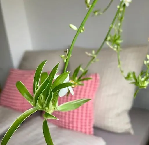 Gemuetliches In Bad Wilhelmshoehe *