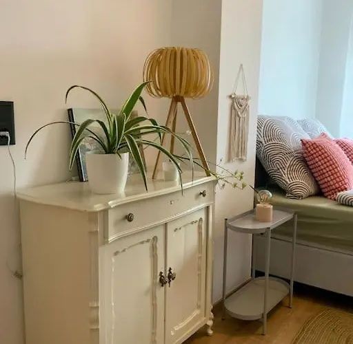 아파트 Gemuetliches In Bad Wilhelmshoehe 카셀