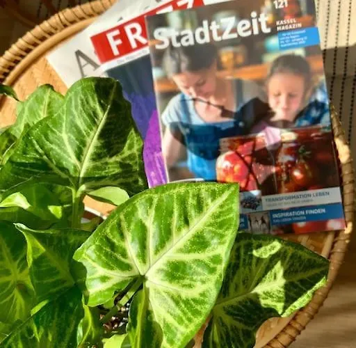 Gemuetliches In Bad Wilhelmshoehe 아파트 카셀